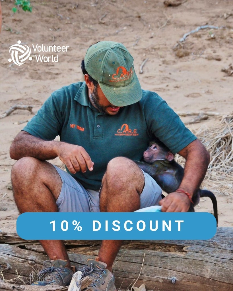 volunteerworld's tweet photo. 10% OFF AT C.A.R.E.! ⏰ (Link in Bio)⁠
Apply now for the ‘Baboon Rehabilitator &amp; Care-Giver’ program on Volunteer World and get a 10% discount offer after applying. 🌍 Make a difference by rescuing, rehabilitating, and releasing orphaned baboons, giving… https://t.co/J7468vHo3d https://t.co/LWtJNxVil9