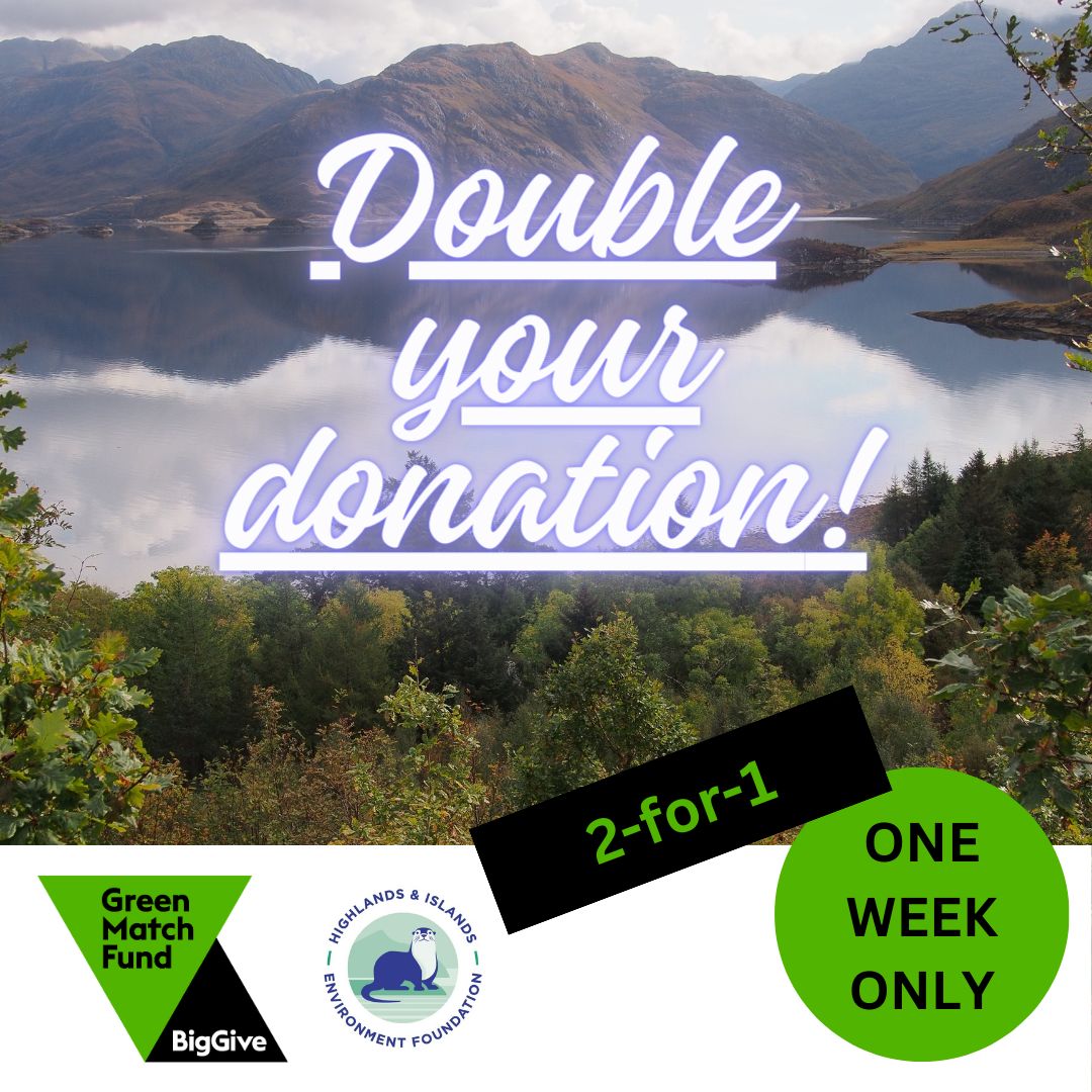 DOUBLE your donation and help make a difference for nature in the highlands and islands! Join us now. 🌿🐿️ 🐬 💚 #NatureConservation #HighlandsAndIslands #2for1nature #GreenMatchFund
buff.ly/3vXMm9O