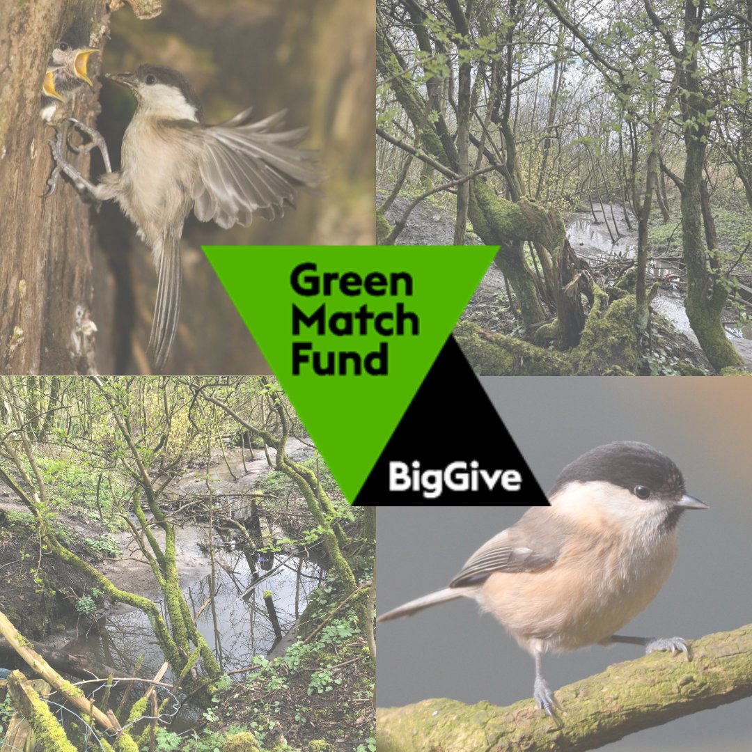 From today until 12pm on the 25th April, every donation made to our project will be matched up to £10,000. This means if you were to donate £20 to this exciting project via our Big Give page, we would receive £40 - at no extra cost to you. (2/3)