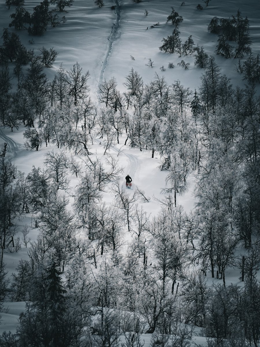 MansBjorn's tweet photo. Snowmobile

#Saxnäs #Vilhelmina #snowmobile #skoter
#Fujifilm #XT4 #XF50140 https://t.co/7JpOCUI7UJ