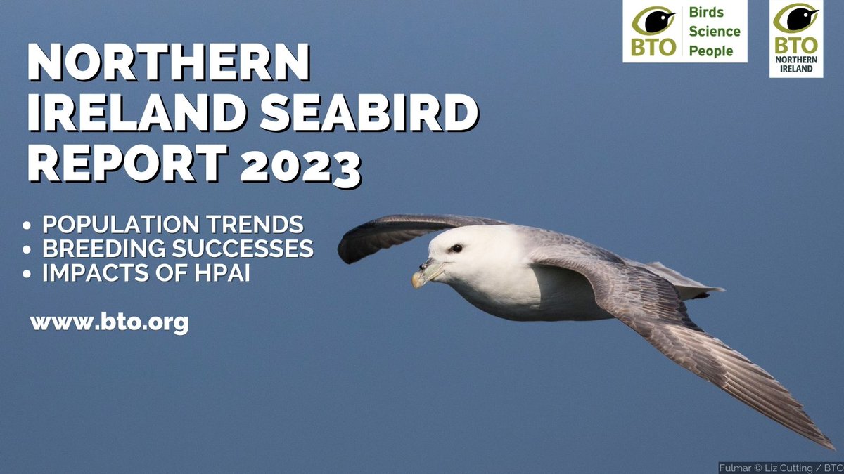 The Northern Ireland Seabird Report covering the 2023 breeding season is out now, highlighting challenging times for seabird populations. Read the report 👉 bit.ly/SeabirdReport2…