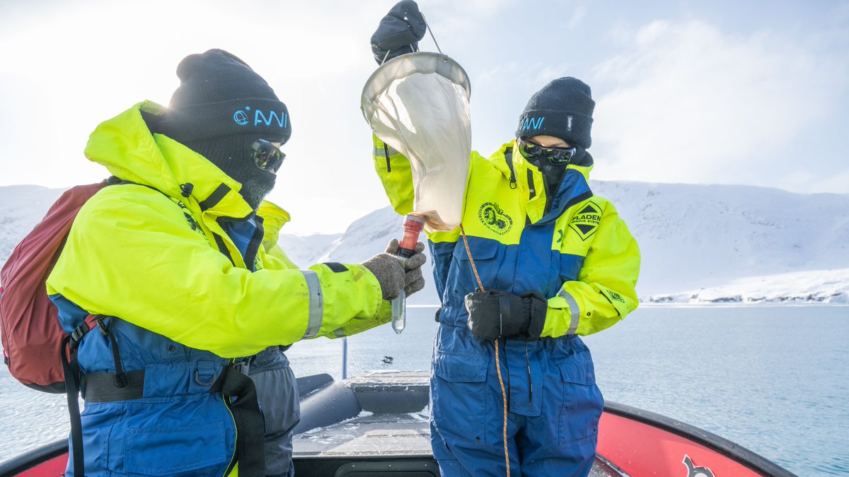 Unübersehbar in der Arktis: tauende Böden, schmelzende Gletscher, verschobene Jahreszeiten. Bundesministerin @starkwatzinger diskutierte mit den Forschenden auf #Spitzbergen die Erkenntnisse der #Klimaforschung. Wir brauchen sie zum Umgang mit dem #Klimawandel. @AWI_de