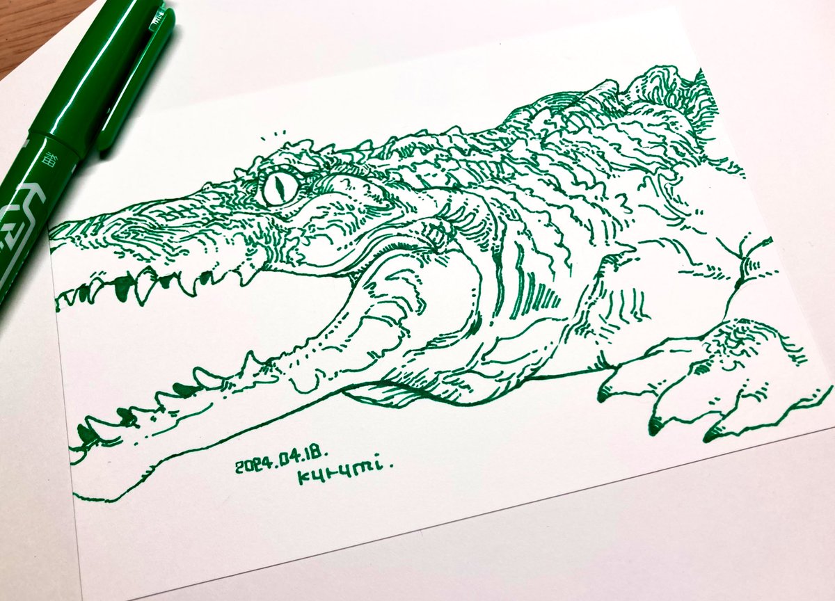 kurumistormpen's tweet photo. 🐊ドローイング
緑マッキー極細で
#ペン画 #アナログ #イラスト https://t.co/KAJVyhn7va
