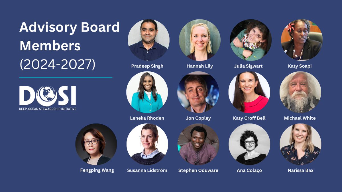 Welcome to our new Advisory Board! 🌊👏 The members will play an instrumental role in guiding DOSI's activities for the next three years. You can find out more about the new members on the Who We Are page: dosi-project.org/management/