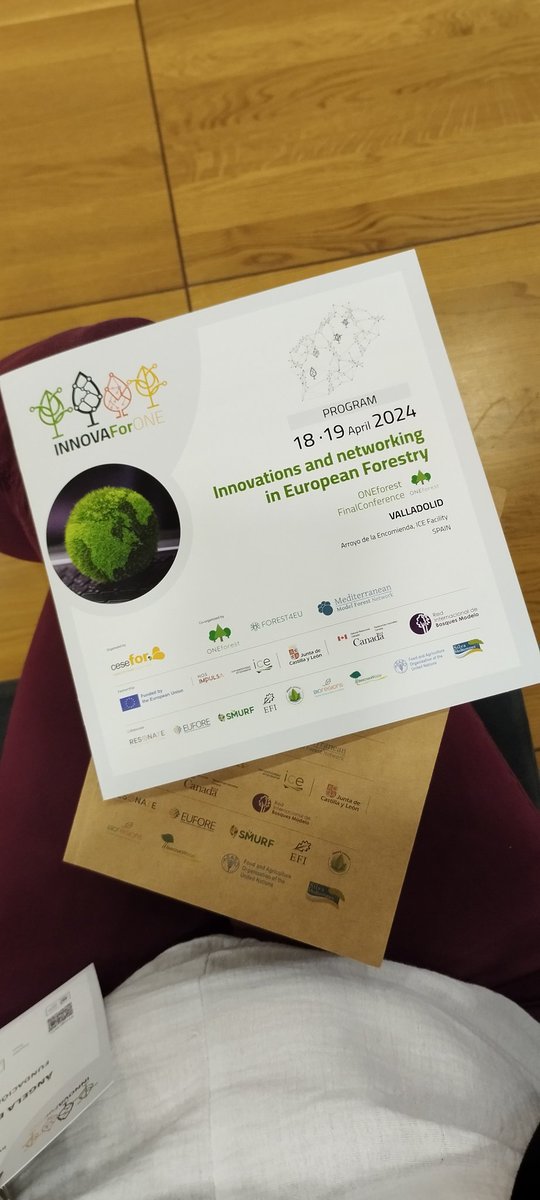 Hoy en el #INNOVAForONE, interesantes presentaciones de conclusiones e #inovacion del proyecto #ONEforest , #ModelForestNetwork #EFIbioregions organizado por #Cesefor