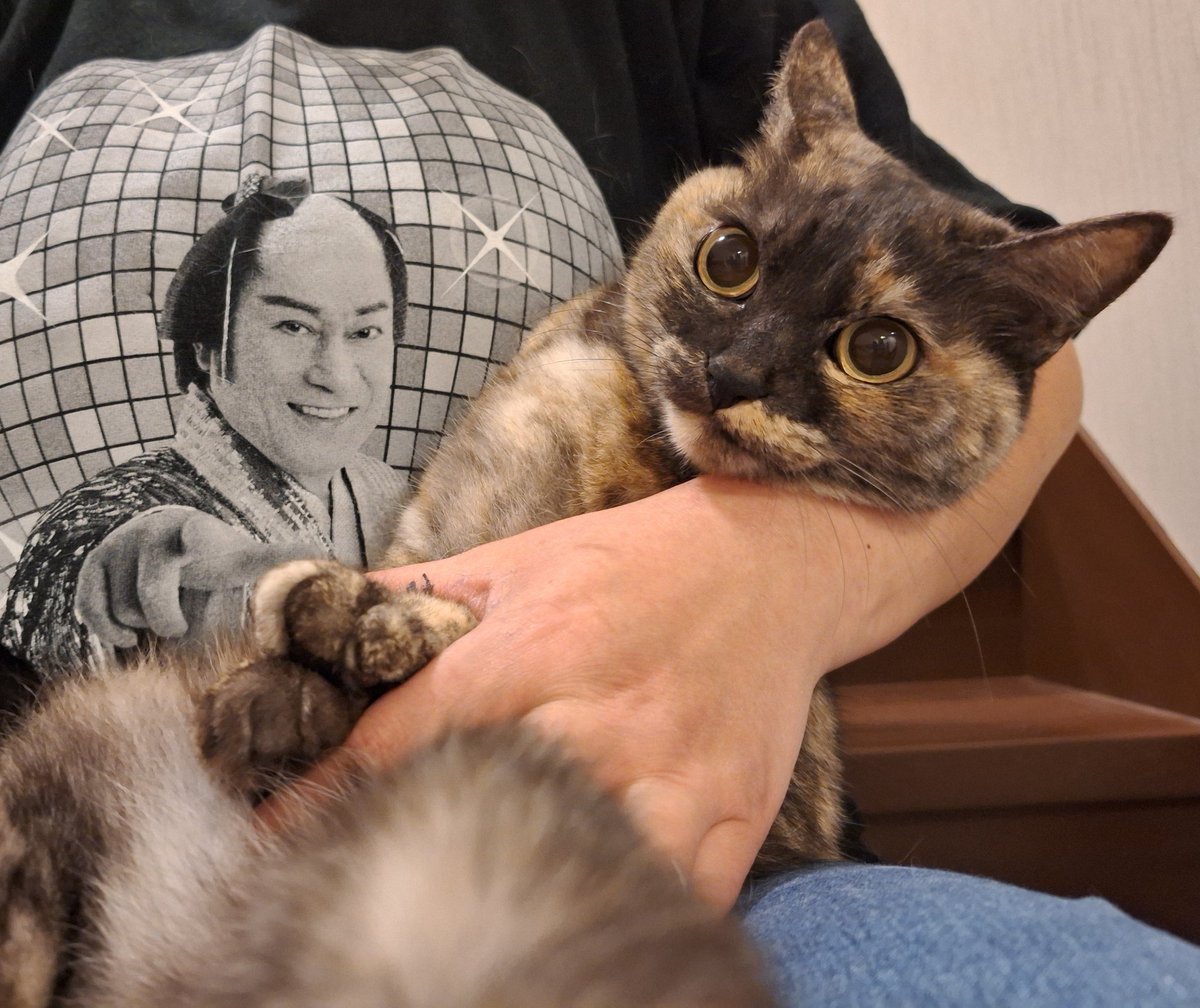 にこちゃまちゃんぬる tweet media