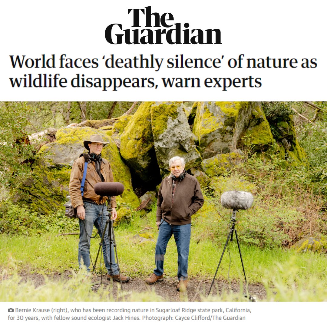 Do you think those in power should be held accountable when decisions result in mass environmental destruction? We do.

TOGETHER, we can close this gap in international criminal law.

All donations DOUBLED: donate.biggive.org/campaign/a0569…

@guardian: theguardian.com/environment/20…

#StopEcocide