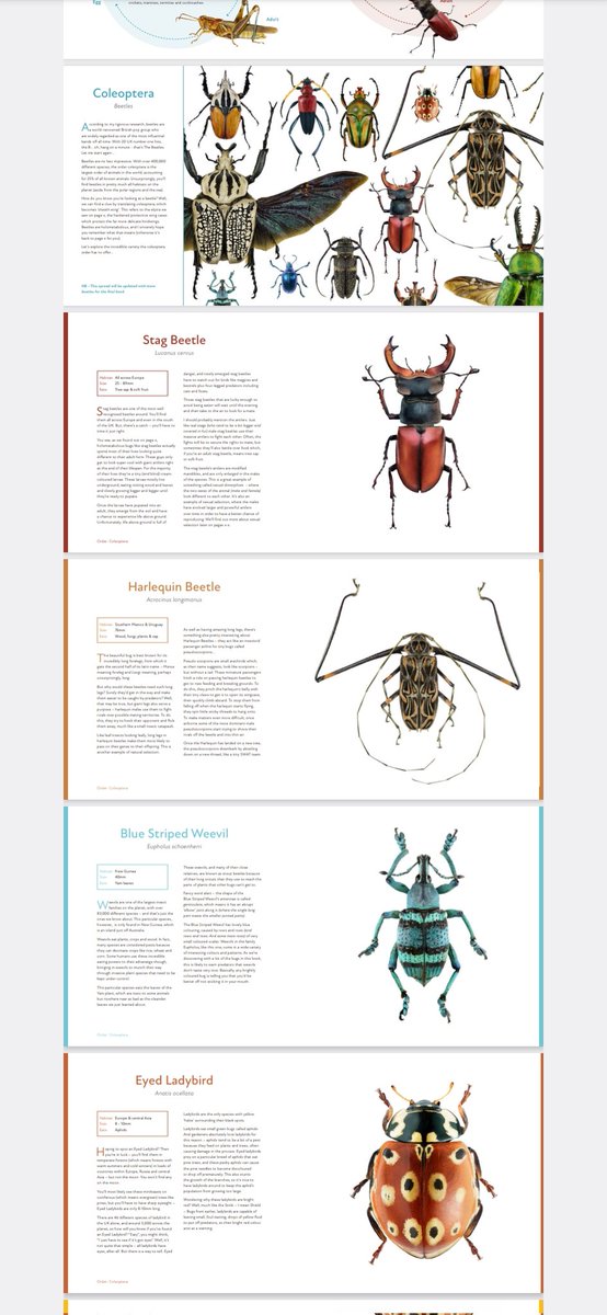 I'm not sure if it'll ever happen (due to how long it takes me to draw plus a very small market), but I was recently reminded of my long-term ambition to create my own book about insects. Here are some of my example spreads...