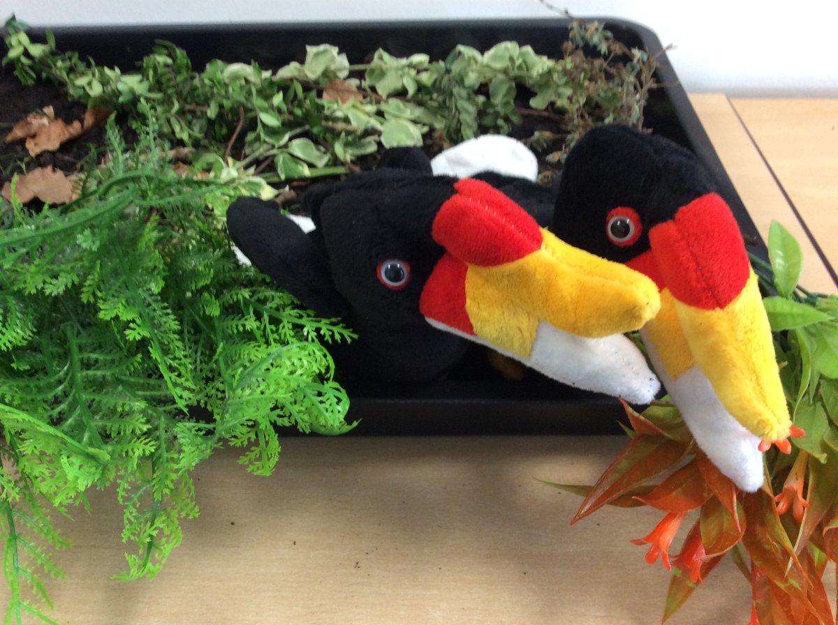 Y2_BBSM's tweet photo. Year 2 have been doing a special project with @chesterzoo this week. We found out all about the endangered hornbill and built a lovely forest habitat for our class hornbills. https://t.co/X1IgEKfWG8