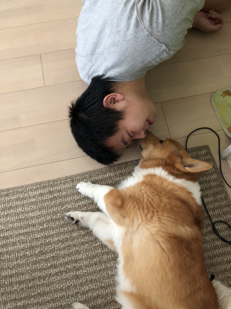 oukaein's tweet photo. 今日、あいんが亡くなりました。天国や来世とか魂とかあるかどうかわからないですが、もしあるならまたどこかで会いたいです。

僕が８歳の頃から一緒にいたので人生の半分以上を共に過ごしました。１５年１０カ月間、一緒にいてくれてありがとう。 https://t.co/HDErcrChnE