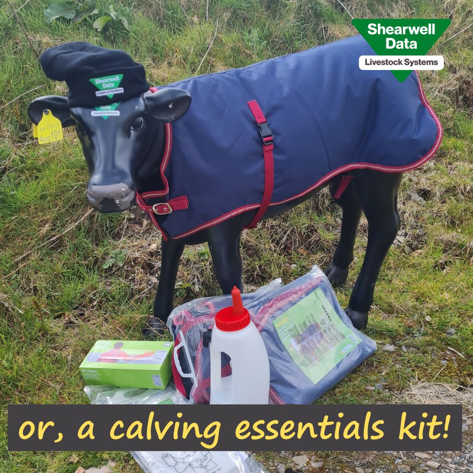 Shearwell Data Ltd tweet media