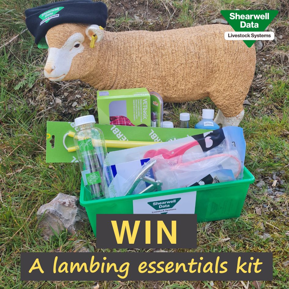 Shearwell Data Ltd tweet media