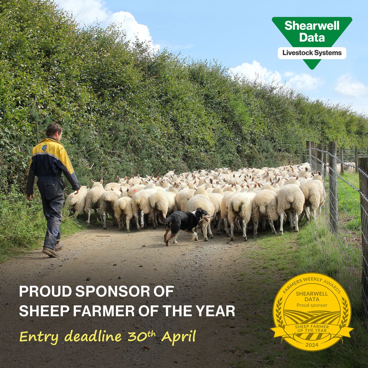 Shearwell Data Ltd (@shearwell) on Twitter photo Do you know a Sheep Farmer who deserves some recognition for going above and beyond? You have until Tuesday 30th April to get your nominations for Sheep Farmer of the Year in! shorturl.at/isyHP #sheepfarmeroftheyear #fwawards2024 <a href="/FarmersWeekly/">Farmers Weekly</a> Do you know a Sheep Farmer who deserves some recognition for going above and beyond? You have until Tuesday 30th April to get your nominations for Sheep Farmer of the Year in! shorturl.at/isyHP #sheepfarmeroftheyear #fwawards2024 <a href="/FarmersWeekly/">Farmers Weekly</a>