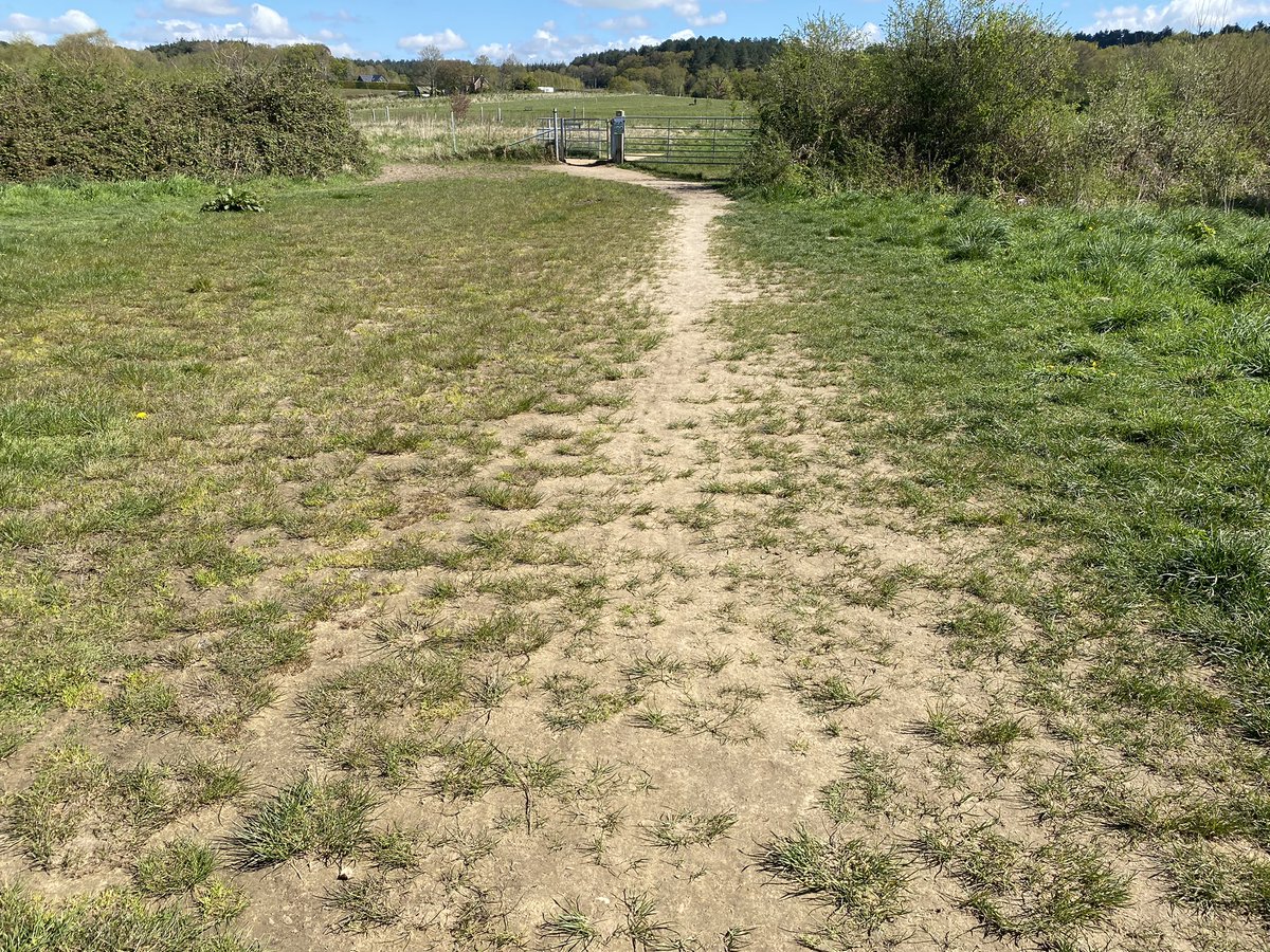 Not sure I’ve ever felt such relief & joy at the sight of mud drying out.