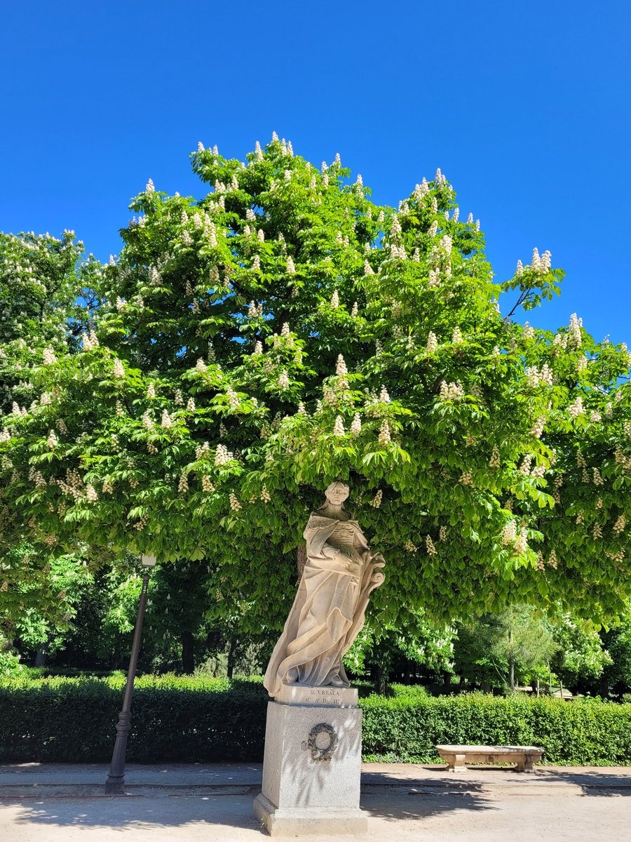 Urraca I de León. Primera mujer en Europa en ejercer un reinado de pleno derecho (1109-1126) 📷Urraca a la sombra⤵️