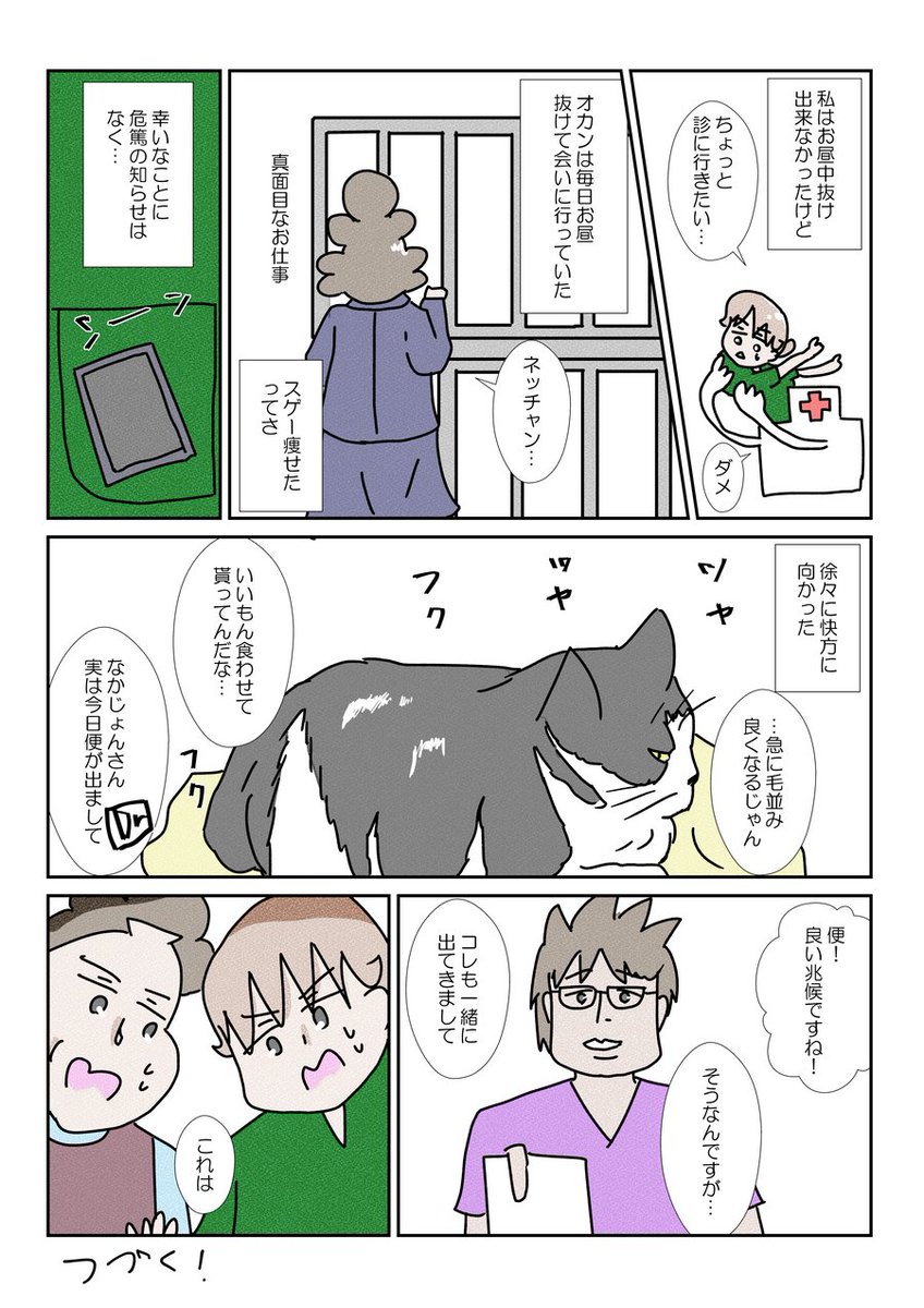 我が家のネコチャンが三途の川渡りかけて帰ってきたお話その③ #ネコ #YOMcoma 