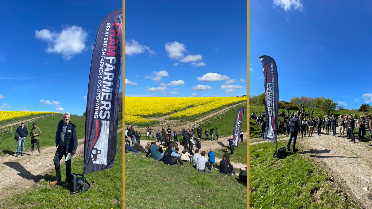 Terrafarmer (@terrafarmer_ag) on Twitter photo Great turnout for today's <a href="/Agreena/">Ashley Greenawalt</a>/<a href="/FramFarmers/">Fram Farmers</a> Regen Day at <a href="/stratton_co/">J M Stratton & Co</a> near Codford in #Wiltshire!
After an introduction with Josh Stratton, TF's Tom Tolputt is now talking all things soil...
A beautiful day for it--at long last🙄
#RegenerativeFarming #soil #soilhealth Great turnout for today's <a href="/Agreena/">Ashley Greenawalt</a>/<a href="/FramFarmers/">Fram Farmers</a> Regen Day at <a href="/stratton_co/">J M Stratton & Co</a> near Codford in #Wiltshire!
After an introduction with Josh Stratton, TF's Tom Tolputt is now talking all things soil...
A beautiful day for it--at long last🙄
#RegenerativeFarming #soil #soilhealth