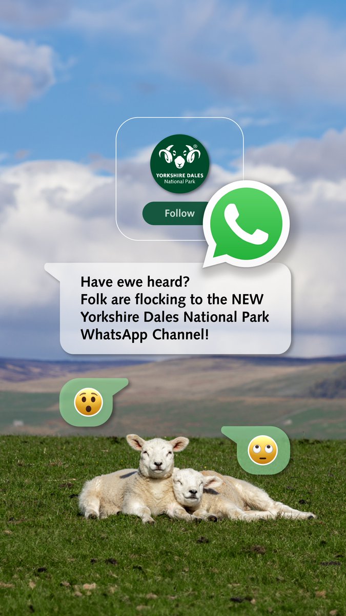 If you love the Yorkshire Dales National Park then our WhatsApp channel is where you'll get walk suggestions, inspiration for things to do and see, some of our favourite photo and video content and more 👇 whatsapp.com/channel/0029Va… #YorkshireDales #Dales