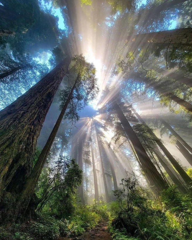 God/Brahman is the Ocean of Love/all-Consciousness tweet media