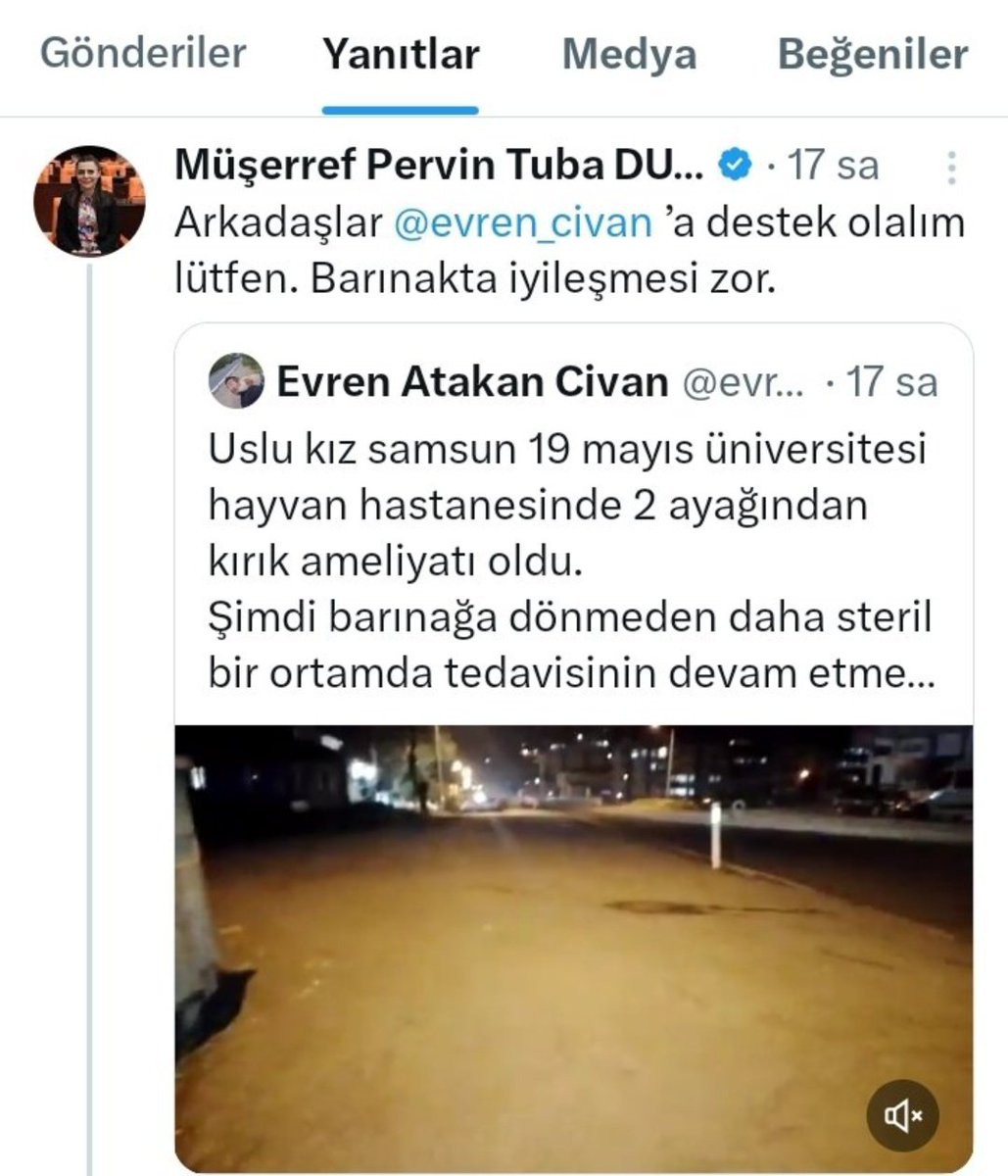 AKP milletvekili Müşerref Pervin Tuba başıboş köpek dilendiren birisi için destek talep etti.

Kendi maaşından destek verip vermediği meraklar konusu.