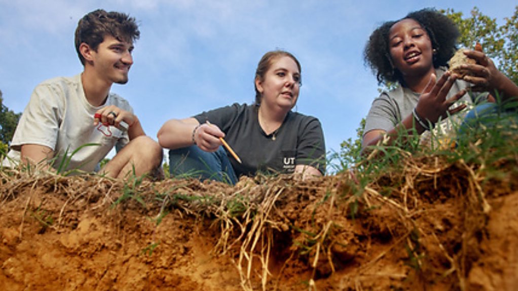 Soil & Water Conservation is one of the interesting career paths in the Natural Resources Management major at the University of Tennessee at Martin. utm.edu. Growing the Future!