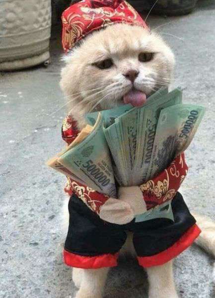 ujikee's tweet photo. 🤑 https://t.co/eUlLt0C3SN