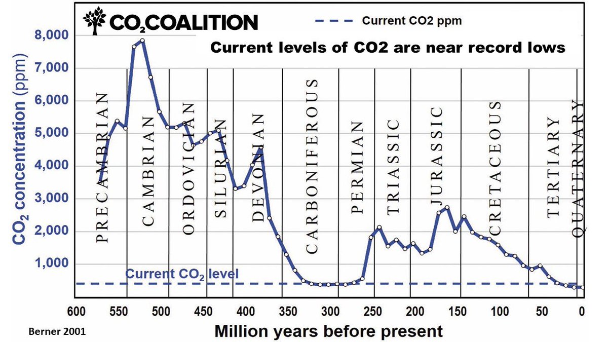 Erdgeschichtlich betrachtet, befinden wir uns in einer gefährlichen CO2-Mangelsituation.