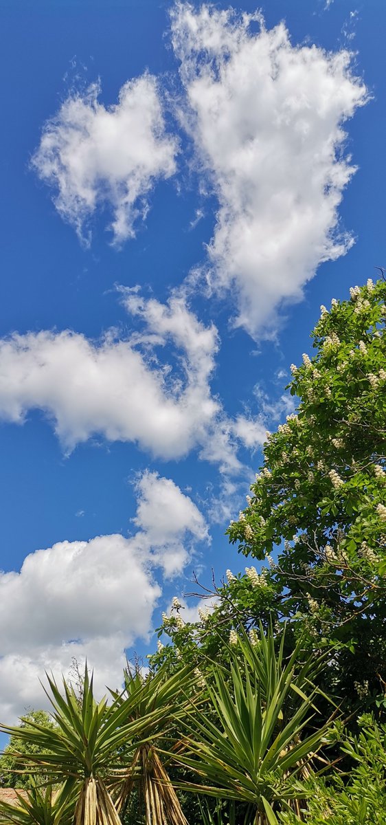 @VictorSinclair3 3 jours de ciel bleu Hérault pas une trace !