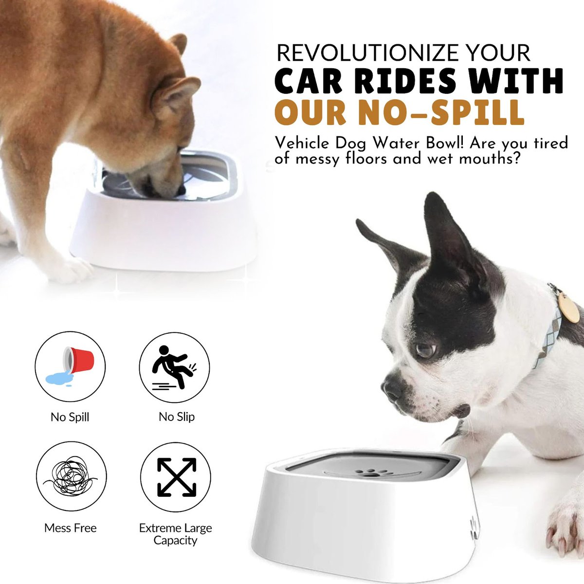 allinoneavenue_'s tweet image. Are you tired of messy floors and wet mouths? 🐾 Introducing our No-Spill Vehicle Dog Water Bowl! Say goodbye to spills and splashes with our innovative solution. Enjoy 50% off now!

✅ Prevents water splashing and overflowing 
.
.
#dogwaterbowl #nospill