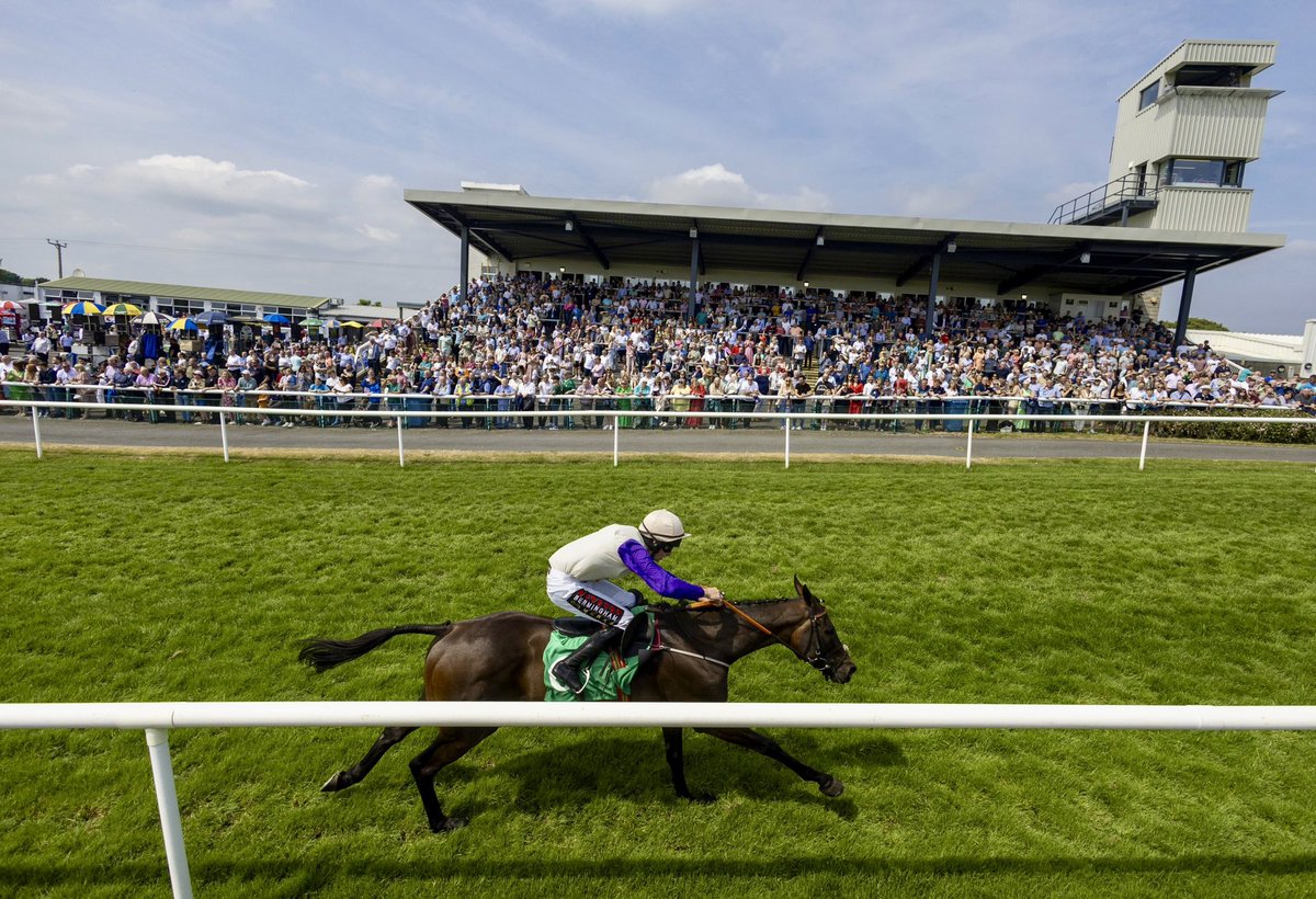 Let’s go, Cottie! 💜 📍 @CheltenhamRaces 📆 Thursday, 18th of April ⏰ 2.40pm #PimlicoRacing