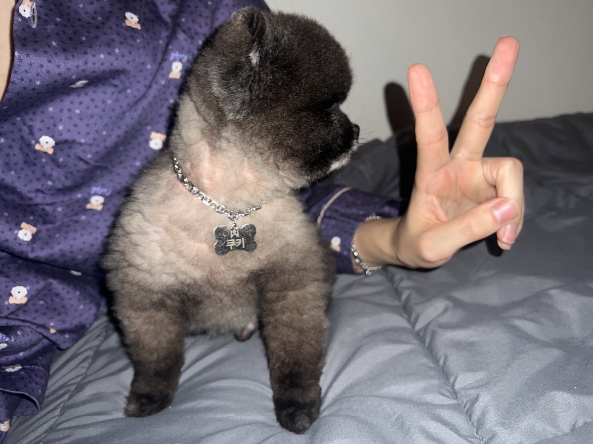 WEi__Member's tweet photo. [#석화]
우리 미남 막둥이 보고 가세요..🖤 #쿠키 https://t.co/rB80WugzUq