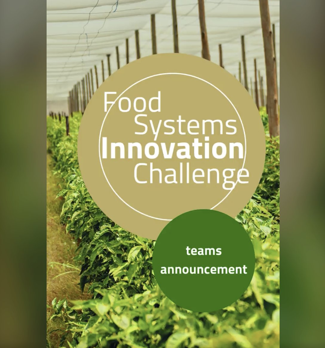 Food Systems Innovation Challenge  teams have been selected and the challenge is now officially launched! 
Supporting capacity building, innovation and entrepreneurship for food systems transformation. 🧩 Join our community on NFP Connects to keep up. lnkd.in/eGBiA3zh