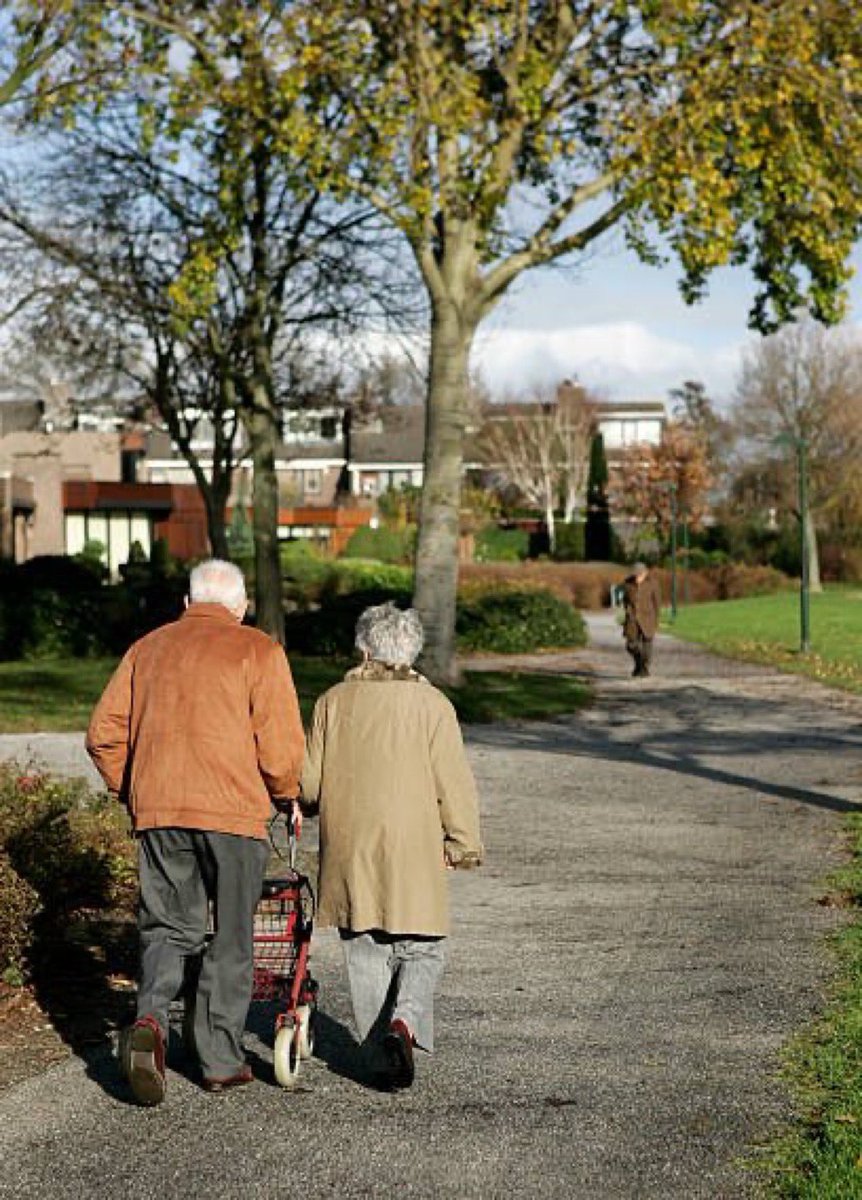 Community ties are vital - neighbours, local shops, & regulars at the park. In Ottawa limited housing options often force older residents to leave their neighbourhood to downsize. Legalizing more housing options & boosting local amenities & services can help people age in place