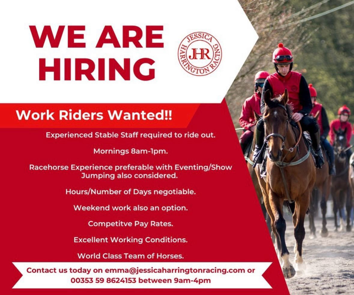 🚨We’re Hiring🚨 We are seeking experienced, hard working riders to join our classic winning team! ☎️ Get in touch now to apply 📧 #TeamJHR #jobsfairy #hiring #horseracingjobs #getinvolved #horseracing #jobsireland