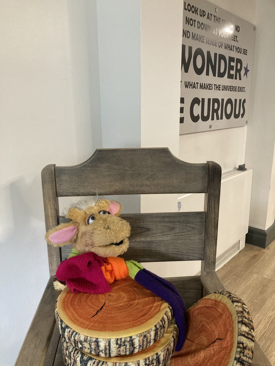 Harold the happy, healthy giraffe has had a great couple of days at @wyndham_academy this week! The pupils have been very engaged and have retained good knowledge! 🦒 #PSHE #Haroldthegiraffe #Wellbeing #SCARF