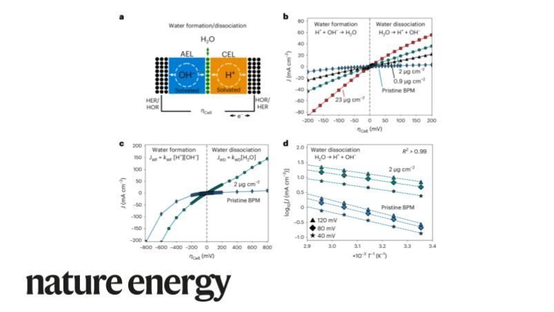 .@SebastianOener and colleagues @fhi_mpg_de study ion solvation kinetics at solid-electrolyte interfaces crucial to energy conversion technologies, such as water splitting electrocatalysts and bipolar membranes. buff.ly/3UkJtYT