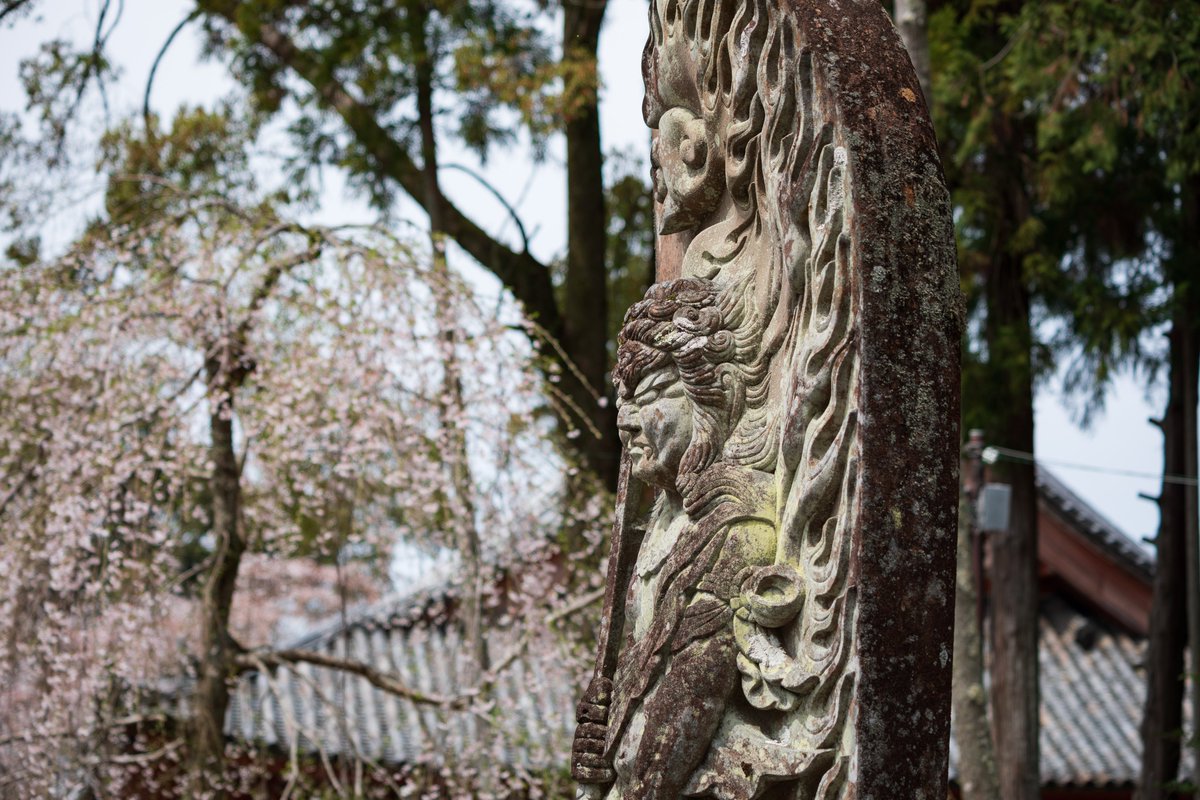 【Photos】
#Daigoji #temple
#Japan #Kyoto #Fushimi
#travel #walk #worship
#architecture #KondoHall
#cherryBlossom
#ToyotomiHideyoshi

Date of shooting: April 6th 2024

#ongooglemaps #letsguide #googlelocalguides