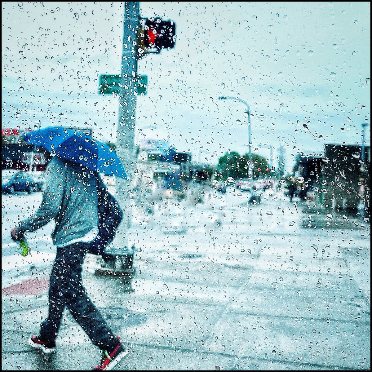 storyrd's tweet photo. Dreary / Philadelphia / #theumbrellaproject / ๐ท @storyrd https://t.co/fSYzRl1E4v