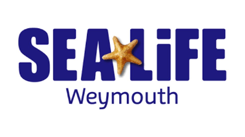 Grounds and Facilities Assistant, Shifts, Seasonal @SEALIFEWeymouth #Weymouth

For further information and details of how to apply, please click the link below: 

ow.ly/C9e450ReP3O

#DorsetJobs #DorsetYouthHour