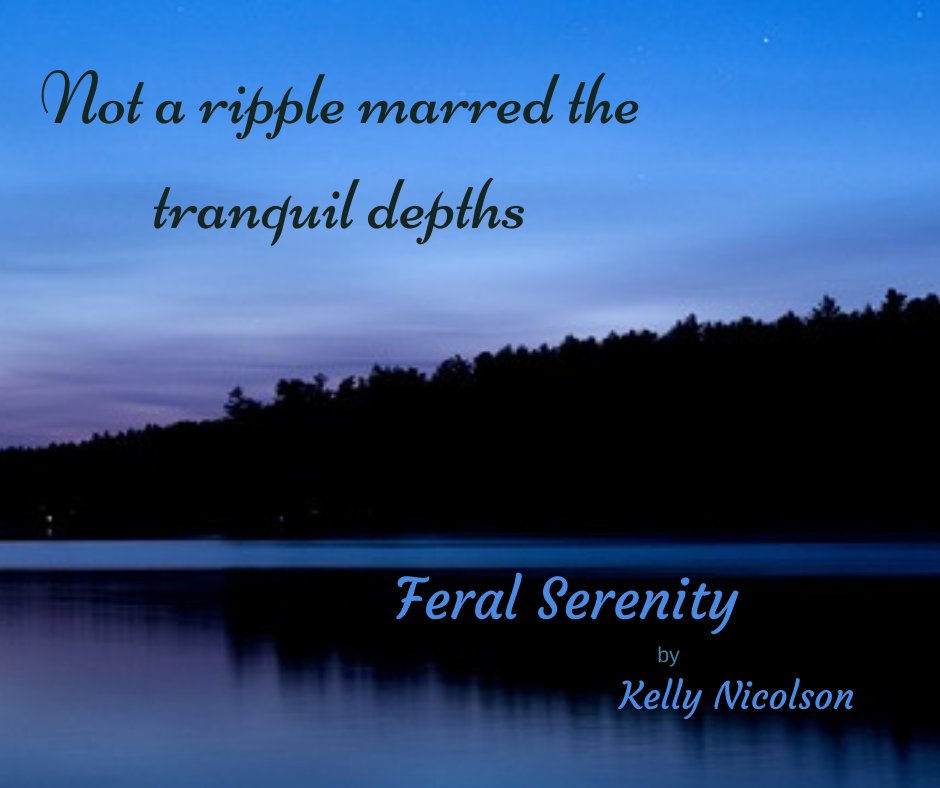 A tranquil lake… A feral passion…

Bear Shifter Romance: Feral Serenity by Kelly Nicolson

amazon.com/dp/B07D6YB21D
amazon.co.uk/dp/B07D6YB21D

#Book #Reading #RomanceBook #RomanceAuthor #ParanormalRomance #RomanceWriter #IndieWriter #Books #ReadingRomance #ShifterRomance #Teaser