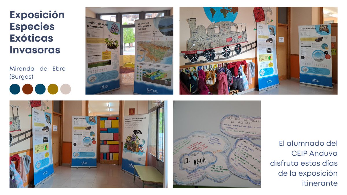 La exposición de #EspeciesExóticasInvasoras se encuentra estos días en el @colegioAnduva de Miranda de Ebro (#Burgos) Los paneles han despertado la curiosidad del alumnado ➕pequeño que en estos días hablan del agua 💦, de los ríos y del Ebro en sus clases. #CHEbro #Divulgación