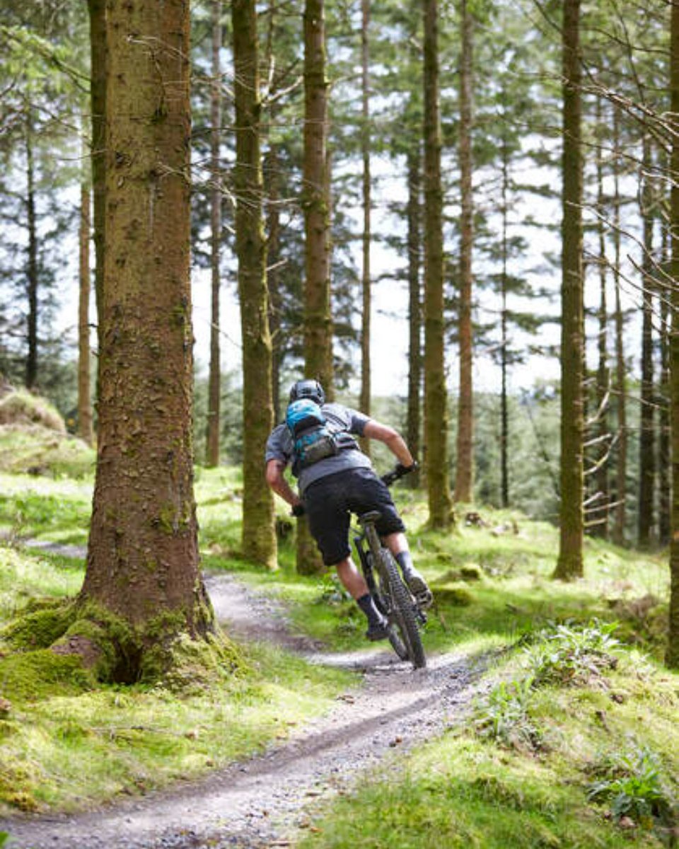 Dust off the saddle, the trails are calling! 👀 The #SlieveBloomMTBFestival returns, offering a weekend of exhilarating trail rides and unforgettable experiences! 🚵‍♀️ 🗓️20th/21st April ✍️Full itinerary! - bit.ly/3xy20sI #KeepDiscovering #IrelandsHiddenHeartlands