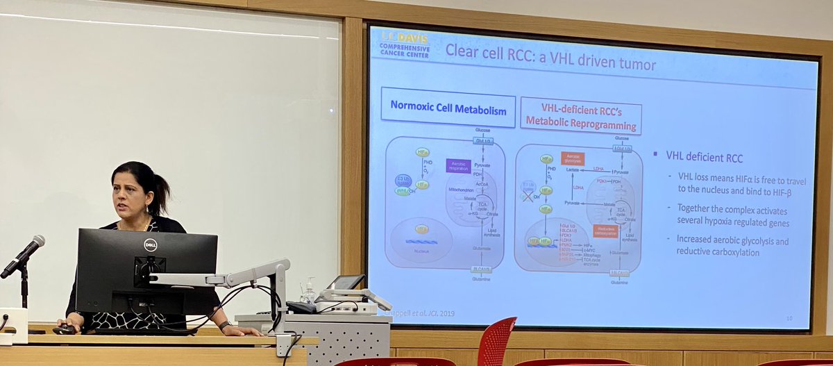 Fantastic presentation by @ShuchiGulati on “Metabolic Adaptations in Kidney Cancer”. @OSUCCC_James @OSU_Urology @OhioStateMedOnc @UCDavisHealth