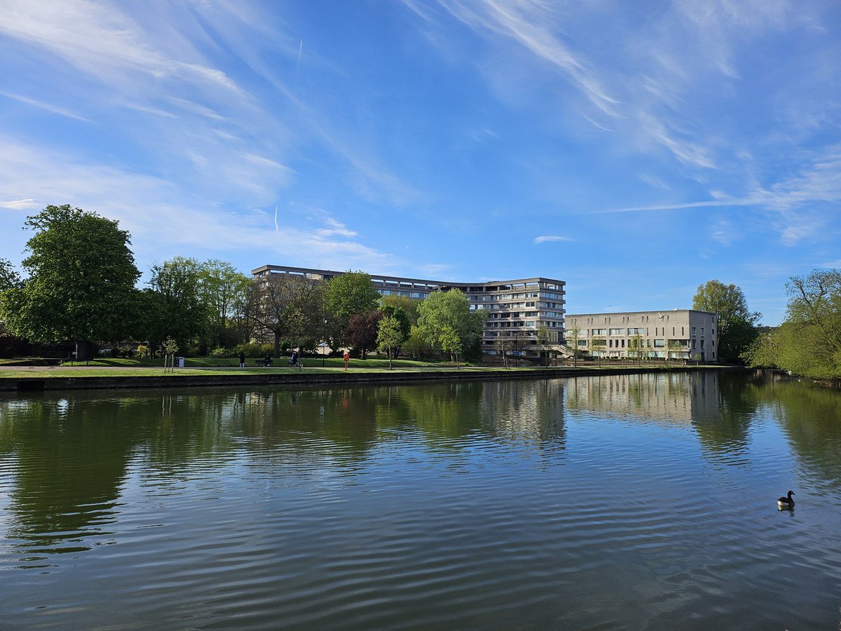 Oliver Morley tweet media