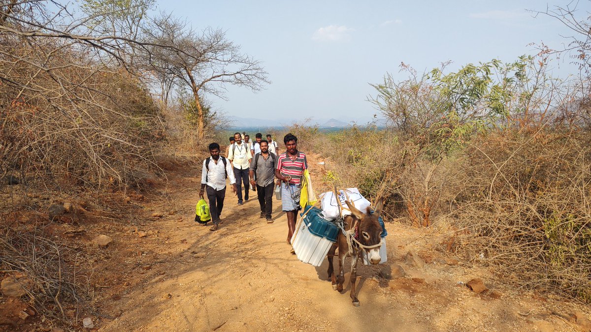 Polling officials trekking with poll materials to Kadambakuttai polling station, with the support of police and forest department staffs on Thursday evening in Krishnagiri district. A donkey also supporting the team @xpresstn @AntoJoseph @NewIndianXpress