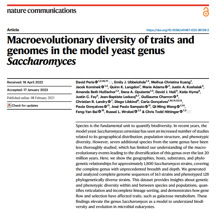 ienoruega's tweet photo. 🥳¡Ya tenemos ganador del I PREMIO MARIA BLASCO al mejor artículo científico 2023!
🧬Macroevolutionary diversity of traits and genomes in the model yeast genus Saccharomyces, Nature Communications, liderado por David Peris.
@DPerisN @FungiaLab @CNIOStopCancer @EmbEspNoruega 
🧵👇 https://t.co/T8dfubvrF0