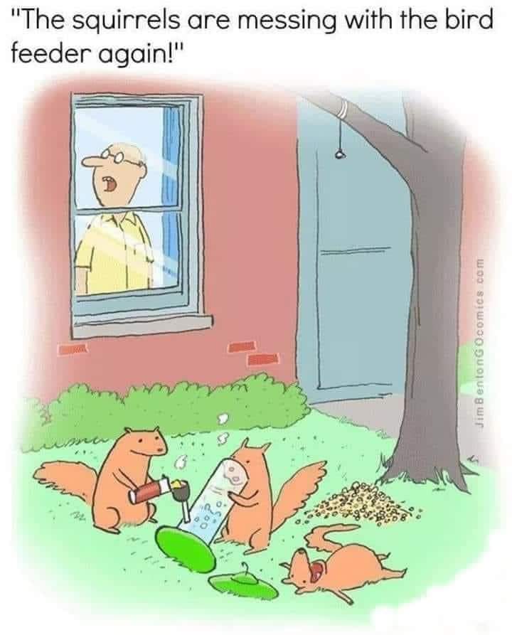 JumbledAround's tweet image. It's springtime.