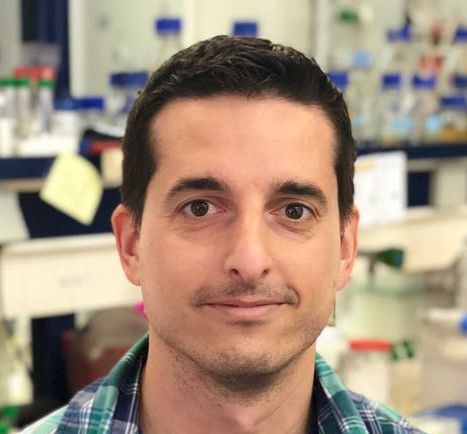 Investigadores Españoles en Noruega SFNO/IENO (@ienoruega) on Twitter photo 🥳¡Ya tenemos ganador del I PREMIO MARIA BLASCO al mejor artículo científico 2023!
🧬Macroevolutionary diversity of traits and genomes in the model yeast genus Saccharomyces, Nature Communications, liderado por David Peris.
<a href="/DPerisN/">David Peris 🔬🍄🍺🍷♻️</a> <a href="/FungiaLab/">FunGIA_Lab 🔬🍄🍺🍷♻️</a> <a href="/CNIOStopCancer/">CNIO Stop Cancer</a> <a href="/EmbEspNoruega/">Embajada de España en Noruega/ Spanias ambassade</a>
🧵👇 🥳¡Ya tenemos ganador del I PREMIO MARIA BLASCO al mejor artículo científico 2023!
🧬Macroevolutionary diversity of traits and genomes in the model yeast genus Saccharomyces, Nature Communications, liderado por David Peris.
<a href="/DPerisN/">David Peris 🔬🍄🍺🍷♻️</a> <a href="/FungiaLab/">FunGIA_Lab 🔬🍄🍺🍷♻️</a> <a href="/CNIOStopCancer/">CNIO Stop Cancer</a> <a href="/EmbEspNoruega/">Embajada de España en Noruega/ Spanias ambassade</a>
🧵👇