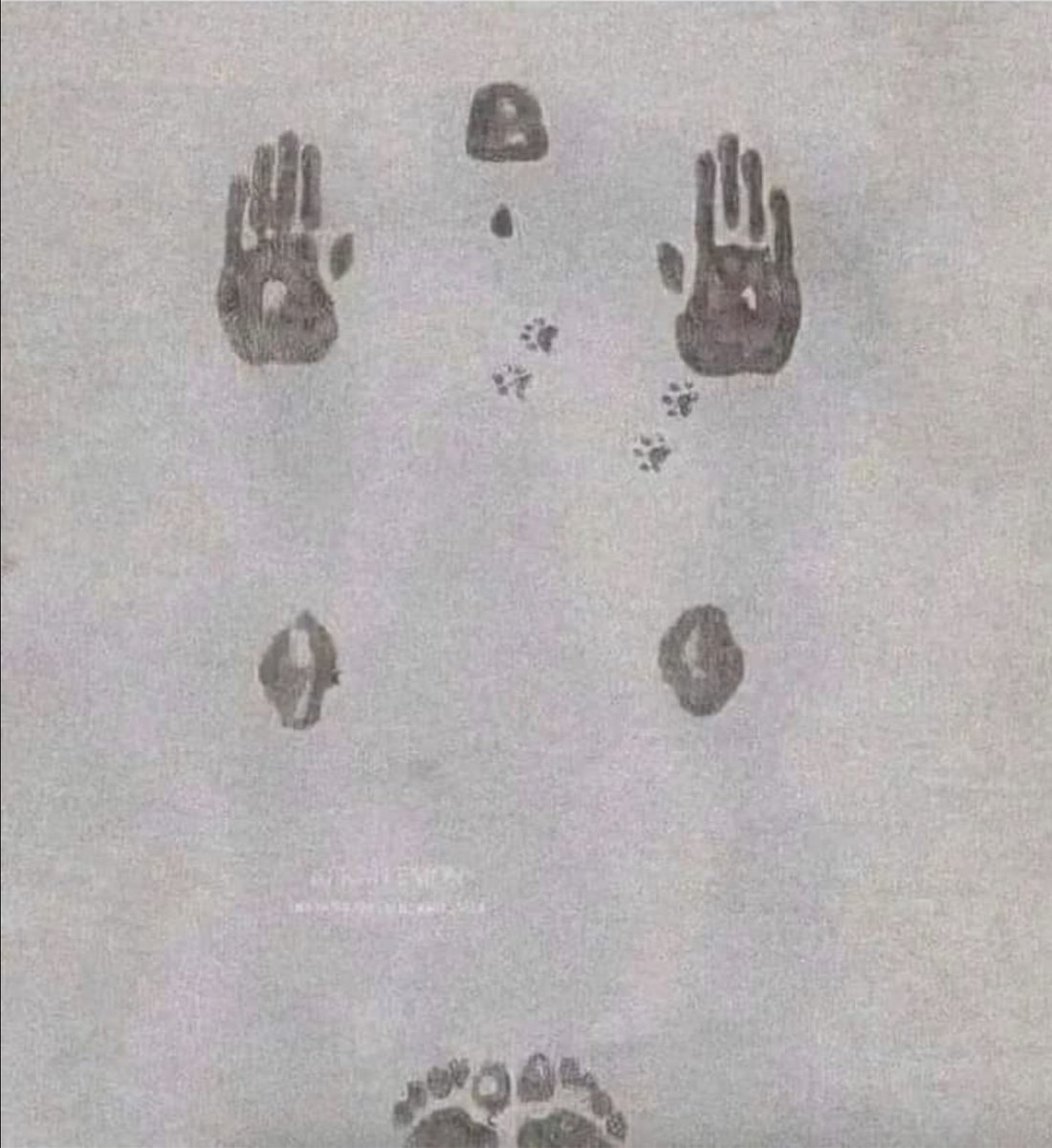 freemonotheist's tweet photo. Only Muslims will get this