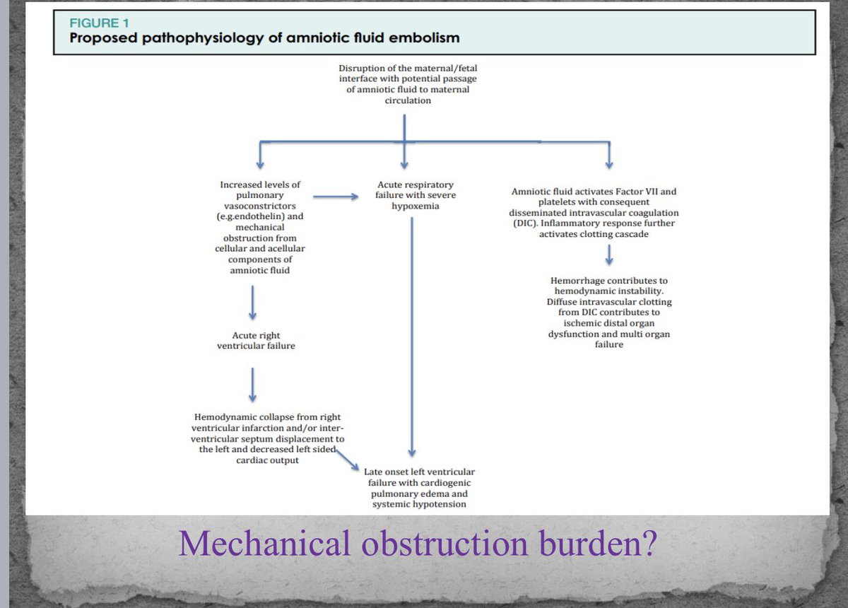 Dr. Ruthi Landau tweet media
